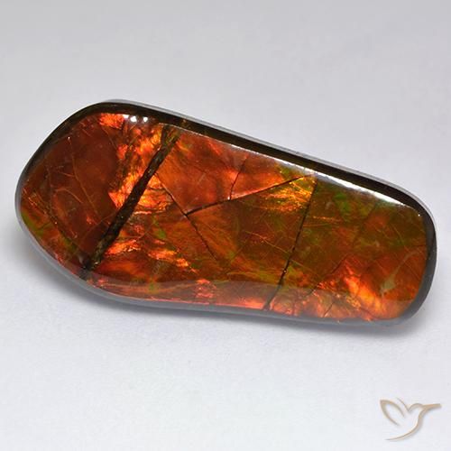 15.53ct 天然 彩色 菊石, 花式切割, 不透明