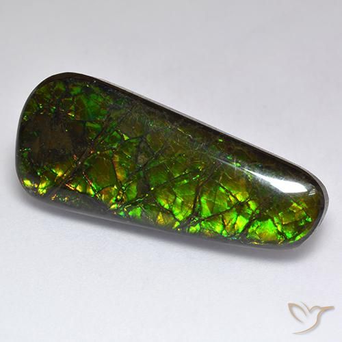 17.04ct 天然 彩色 菊石, 花式切割, 不透明
