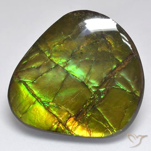 18.81ct 天然 彩色 菊石, 花式切割, 不透明