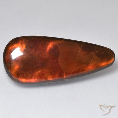 13.57ct 天然 彩色 菊石, 花式切割, 不透明