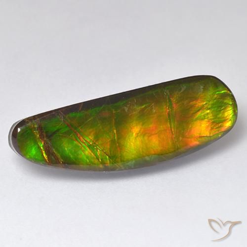 11.01ct 天然 彩色 菊石, 花式切割, 不透明