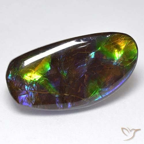 16.71ct 天然 彩色 菊石, 花式切割, 不透明