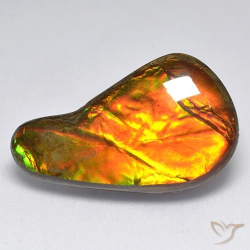 13.11ct 天然 彩色 菊石, 花式切割, 不透明
