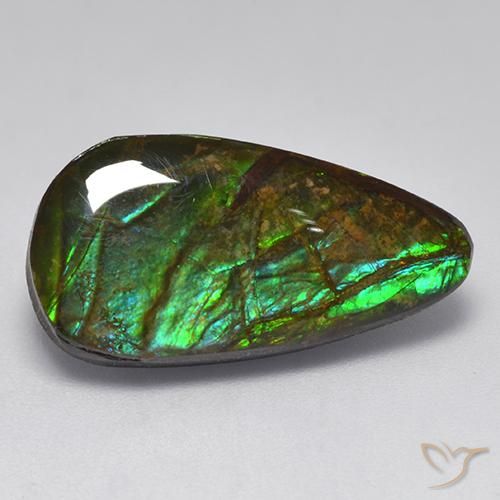 10.04ct 天然 彩色 菊石, 花式切割, 不透明