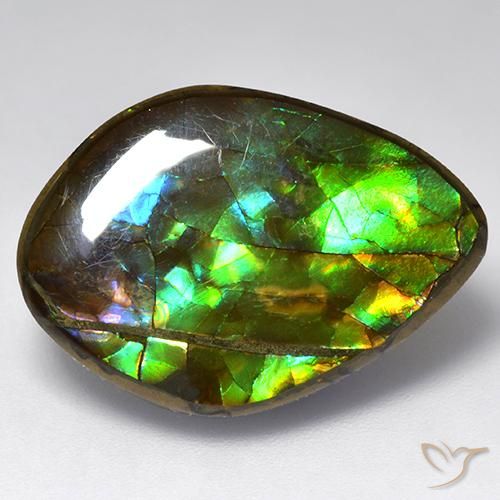 13.64ct 天然 彩色 菊石, 花式切割, 不透明
