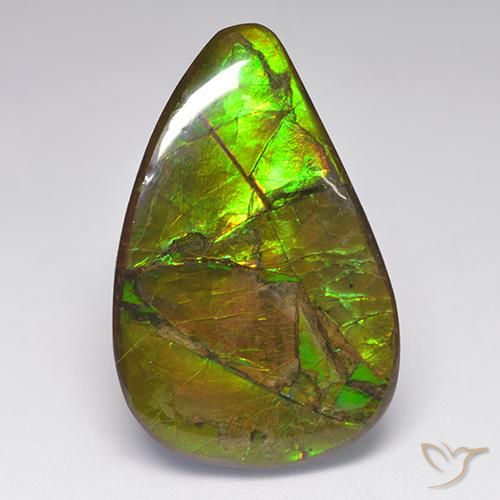 23.14ct 天然 彩色 菊石, 花式切割, 不透明