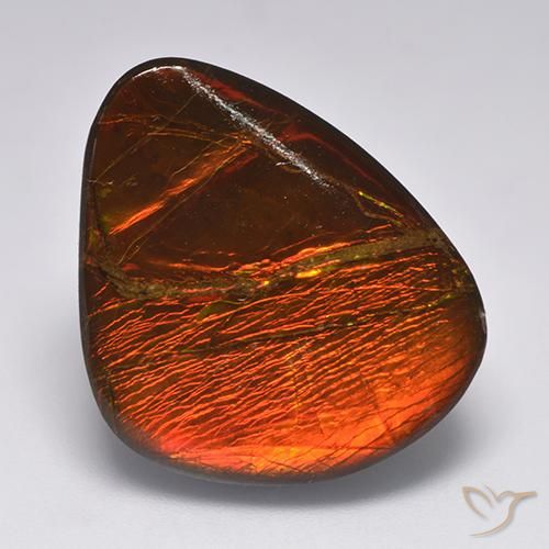 22.11ct 天然 彩色 菊石, 花式切割, 不透明