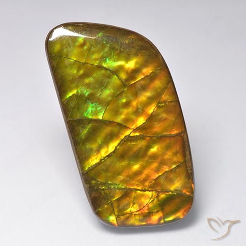 23.24ct 天然 彩色 菊石, 花式切割, 不透明