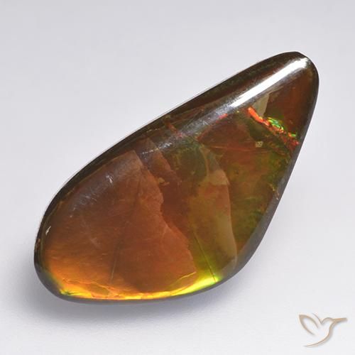 13.86ct 天然 彩色 菊石, 花式切割, 不透明