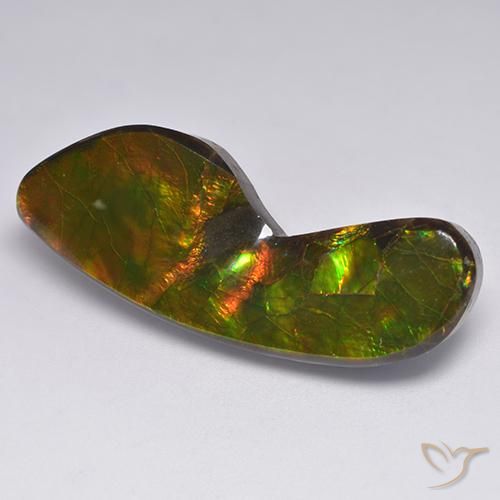24.54ct 天然 彩色 菊石, 花式切割, 不透明
