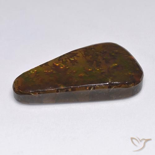 18.34克拉天然菊石，花式切割，不透明