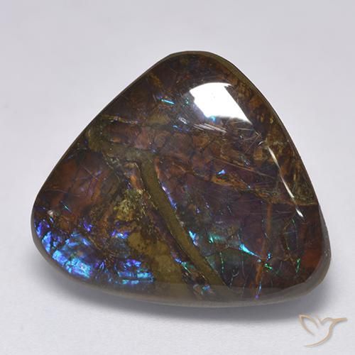 14.06ct 天然 彩色 菊石, 胖三角形, 不透明
