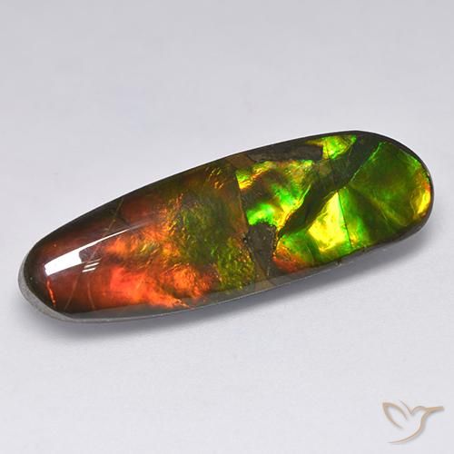 13.63ct 天然 彩色 菊石, 花式切割, 不透明
