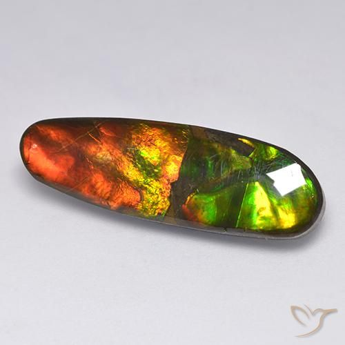 13.63克拉天然菊石，花式切割，不透明