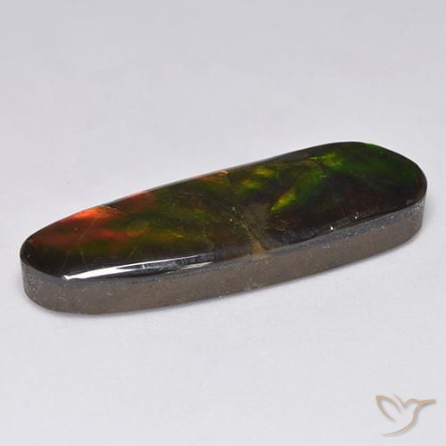 13.63克拉天然菊石，花式切割，不透明