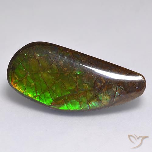 13.19ct 天然 彩色 菊石, 花式切割, 不透明