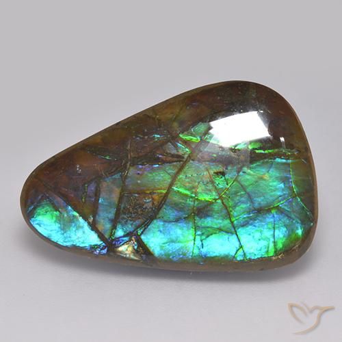 17.82ct 天然 彩色 菊石, 花式切割, 不透明