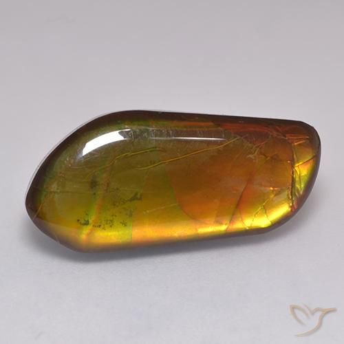 13.43ct 天然 彩色 菊石, 花式切割, 不透明