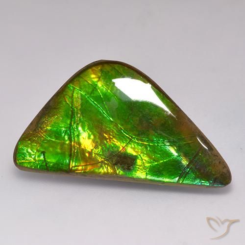 17.71ct 天然 彩色 菊石, 花式切割, 不透明