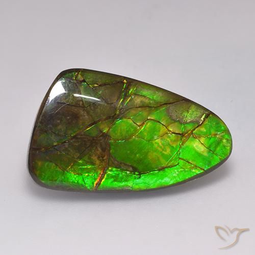19.72ct 天然 彩色 菊石, 花式切割, 不透明