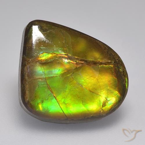 10.46ct 天然 彩色 菊石, 花式切割, 不透明