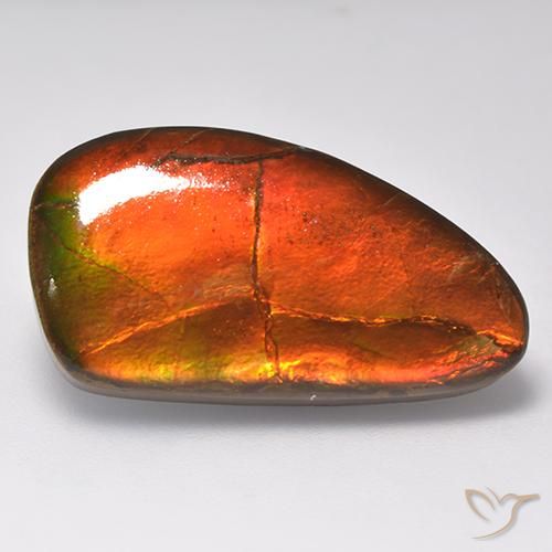 16.93ct 天然 彩色 菊石, 花式切割, 不透明