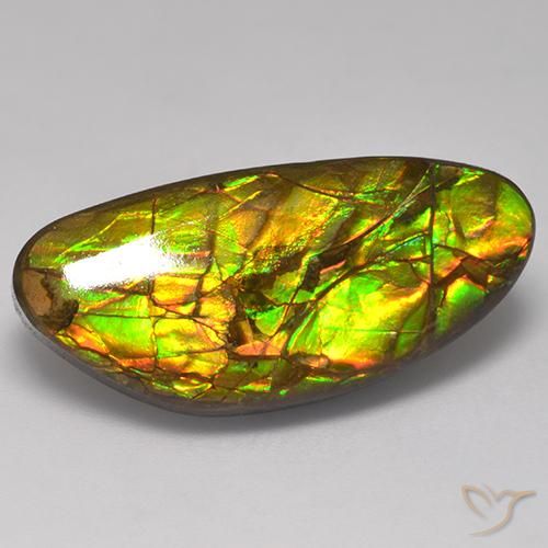 17.56ct 天然 彩色 菊石, 花式切割, 不透明