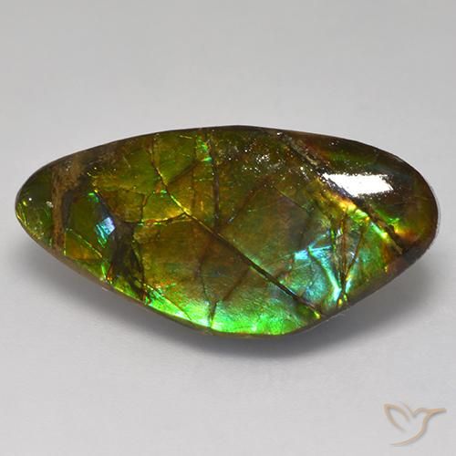 13.97ct 天然 彩色 菊石, 花式切割, 不透明