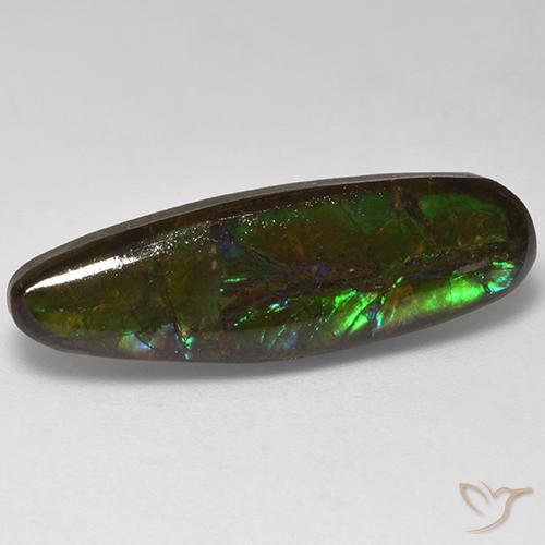 10.95ct 天然 彩色 菊石, 花式切割, 不透明
