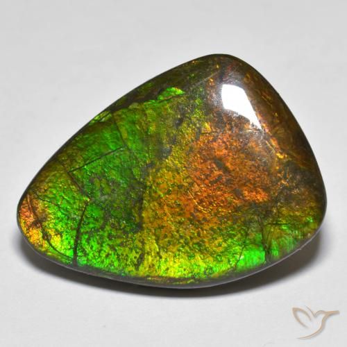 16.66ct 天然 彩色 菊石, 花式切割, 不透明