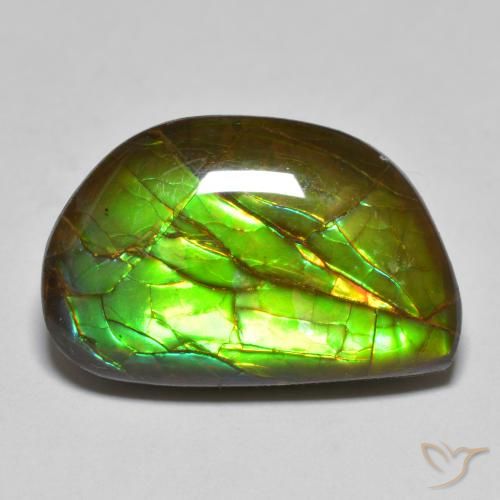 11.66ct 天然 彩色 菊石, 花式切割, 不透明