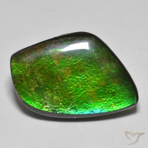 11.78ct 天然 彩色 菊石, 花式切割, 不透明