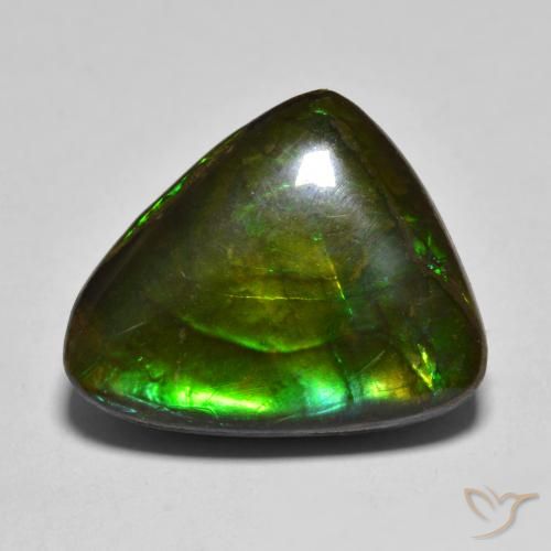 12.07ct 天然 彩色 菊石, 花式切割, 不透明