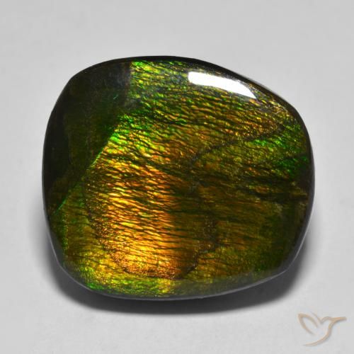 15.88ct 天然 彩色 菊石, 花式切割, 不透明