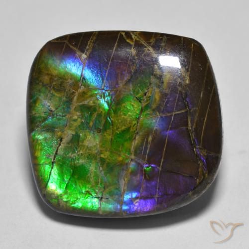 19.25ct 天然 彩色 菊石, 花式切割, 不透明