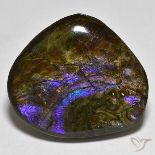 20.55ct 天然 彩色 菊石, 花式切割, 不透明