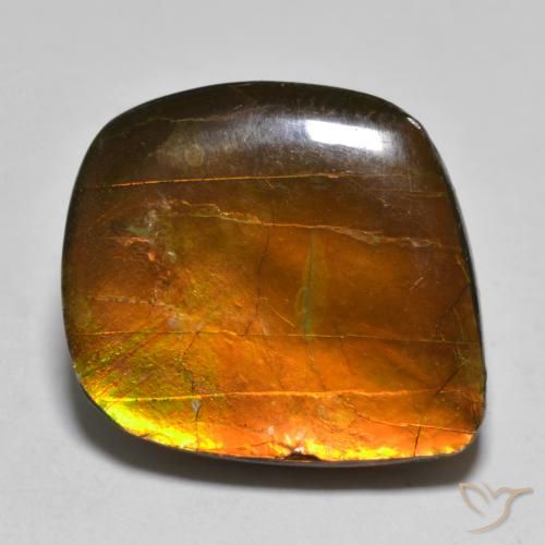 16.24ct 天然 彩色 菊石, 花式切割, 不透明