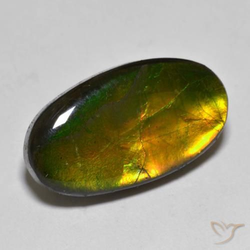 10.40ct 天然 彩色 菊石, 椭圆形, 不透明