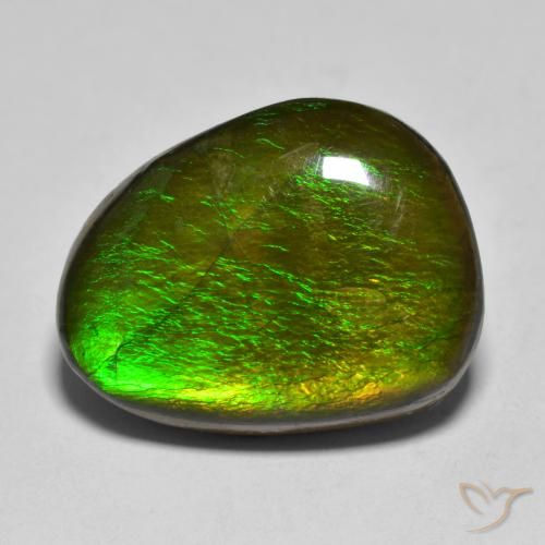 11.23ct 天然 彩色 菊石, 花式切割, 不透明