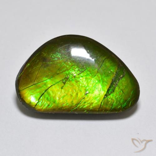 10.81ct 天然 彩色 菊石, 花式切割, 不透明