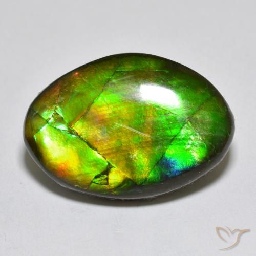 10.50ct 天然 彩色 菊石, 花式切割, 不透明
