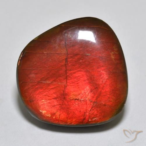 15.39ct 天然 彩色 菊石, 花式切割, 不透明