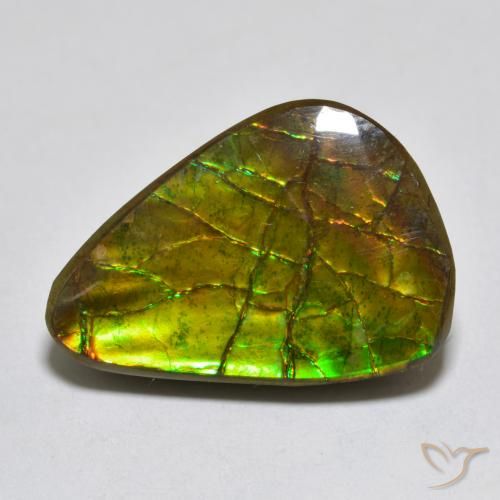 11.13ct 天然 彩色 菊石, 花式切割, 不透明