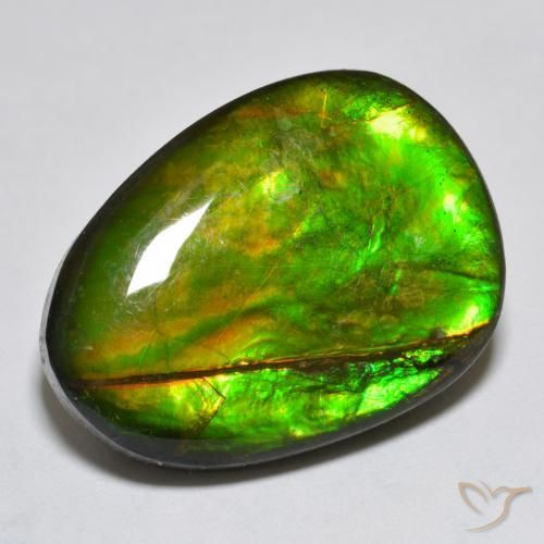 18.76ct 天然 彩色 菊石, 花式切割, 不透明