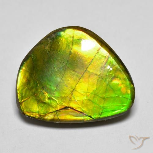11.11ct 天然 彩色 菊石, 花式切割, 不透明