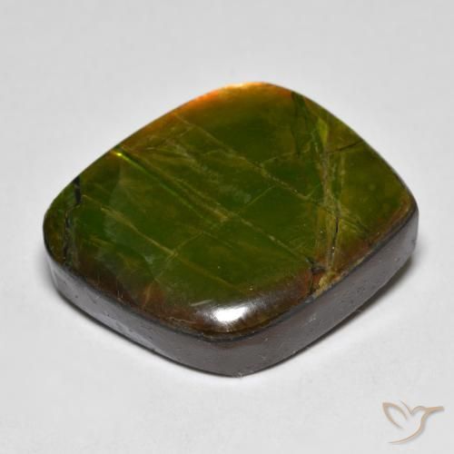 19.04克拉天然菊石，花式切割，不透明