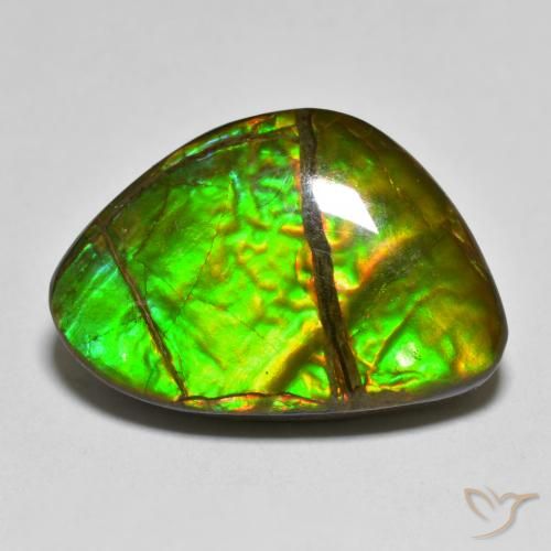 12.75ct 天然 彩色 菊石, 花式切割, 不透明