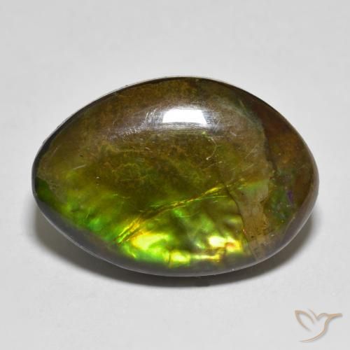 11.56ct 天然 彩色 菊石, 花式切割, 不透明