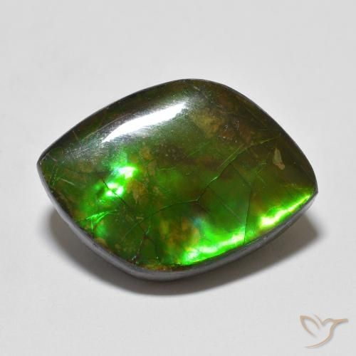 10.24ct 天然 彩色 菊石, 花式切割, 不透明