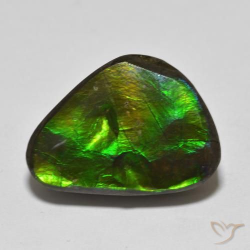 13.90ct 天然 彩色 菊石, 花式切割, 不透明